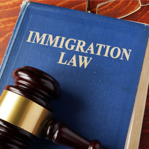 Houston Immigration Law Book